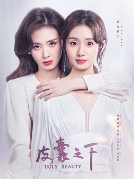 皮囊之下剧情介绍_纵横剧情网