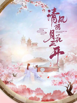 清风朗月花正开剧情介绍_纵横剧情网