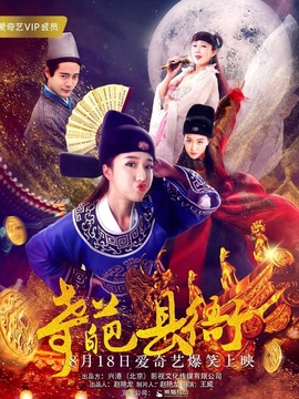 奇葩县衙剧情介绍_纵横剧情网