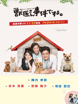 兽医先生，有事件啦剧情介绍_纵横剧情网